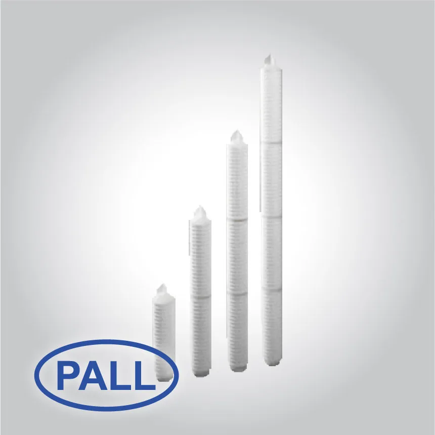 Pall Particulate Filters